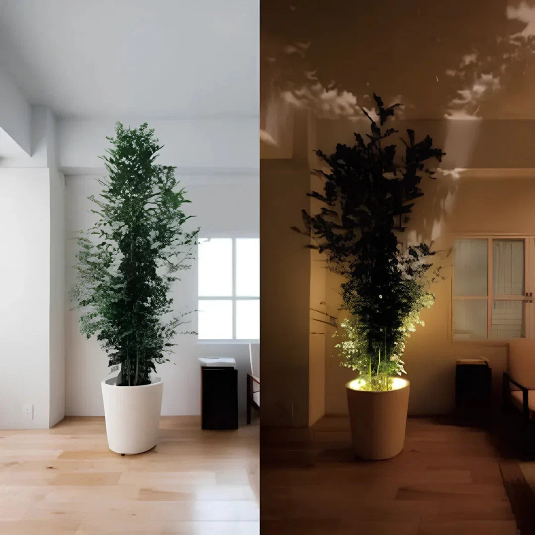 Mini Wall Spotlight - Adjustable LED Accent Light for Shelves and Display Walls